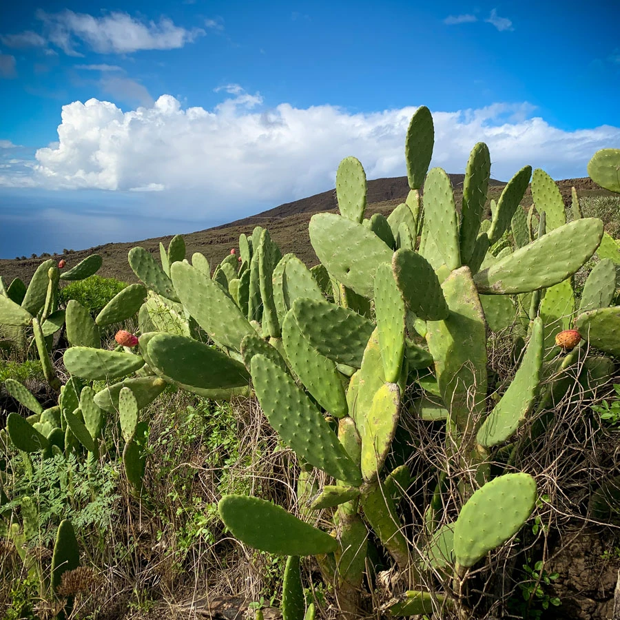 fff64-9fe4b-31148367067-09d3f5a488-o