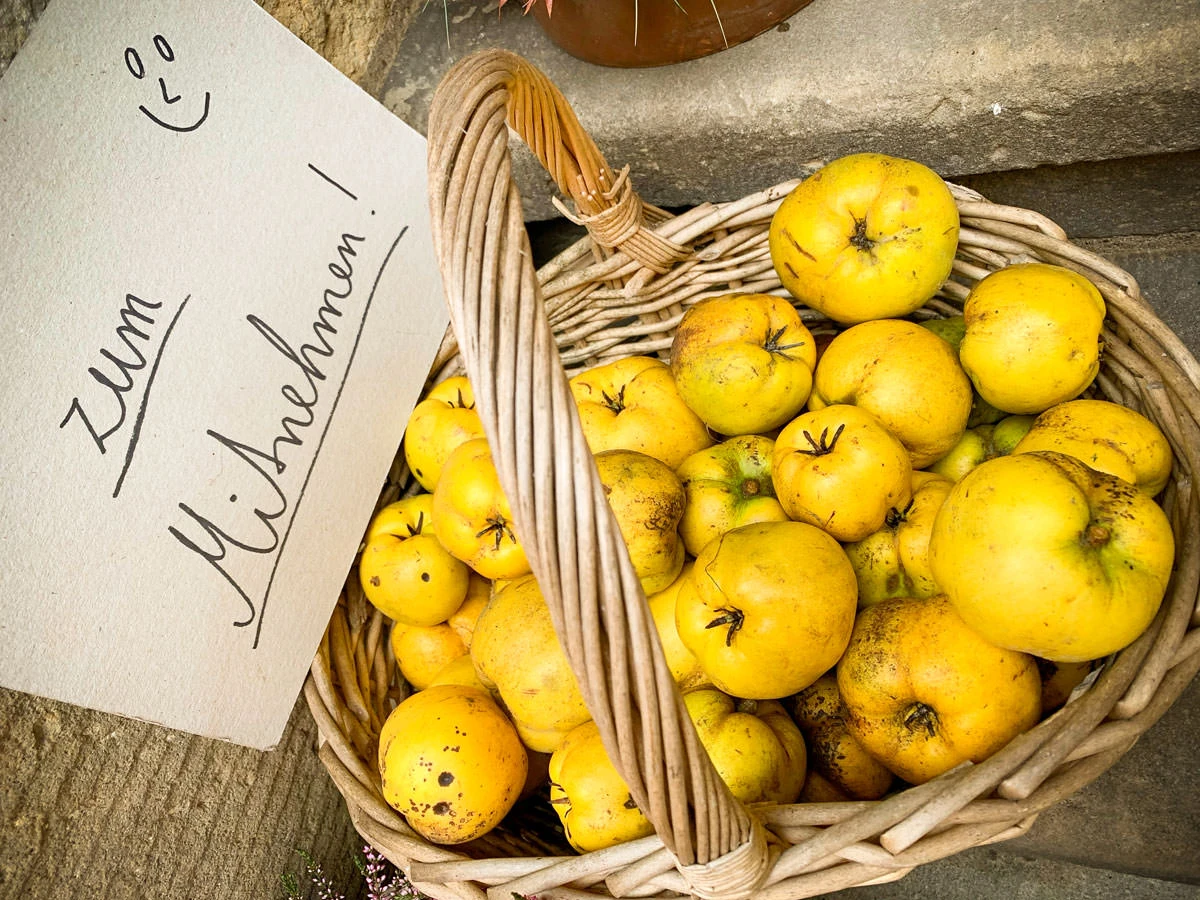 c14cb-077f9-50583063222-fce5914d77-o