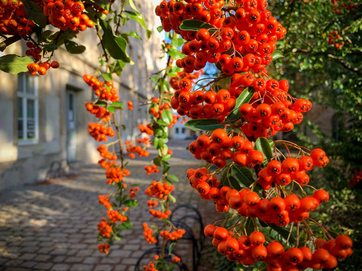 e394c-16334-50583063192-bd109d9490-o