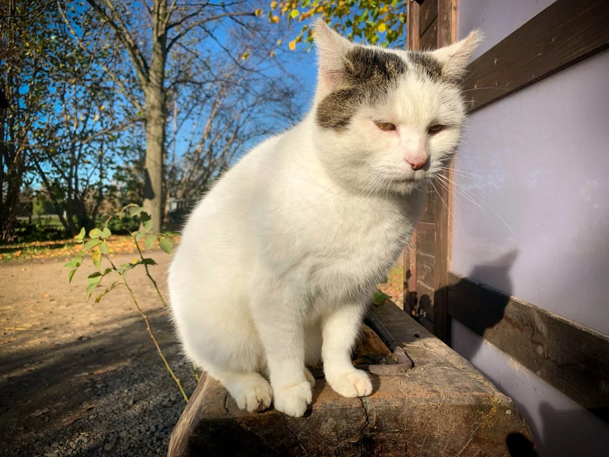 e3d9c-b160b-50582205668-fdc4fbde11-o