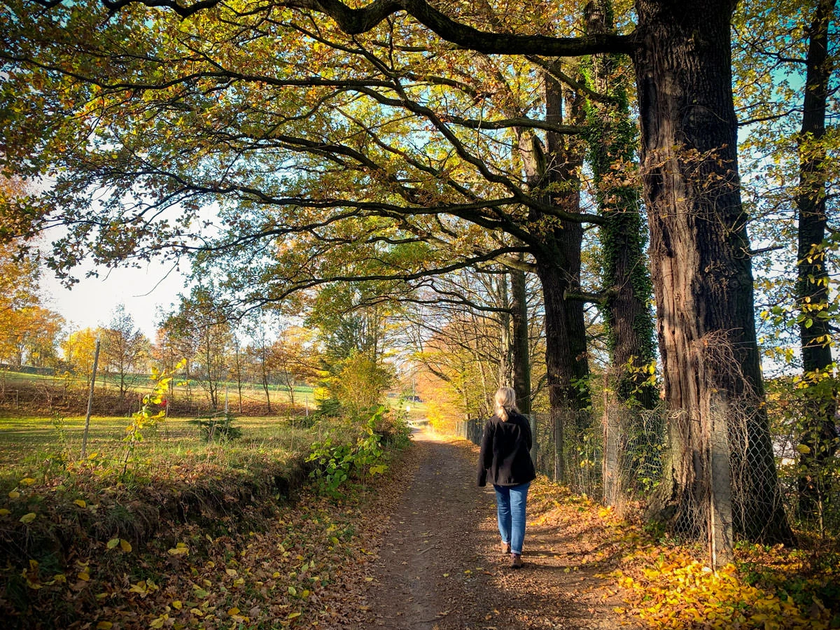 f7a50-ee7c6-50582943071-ec24c09e52-o