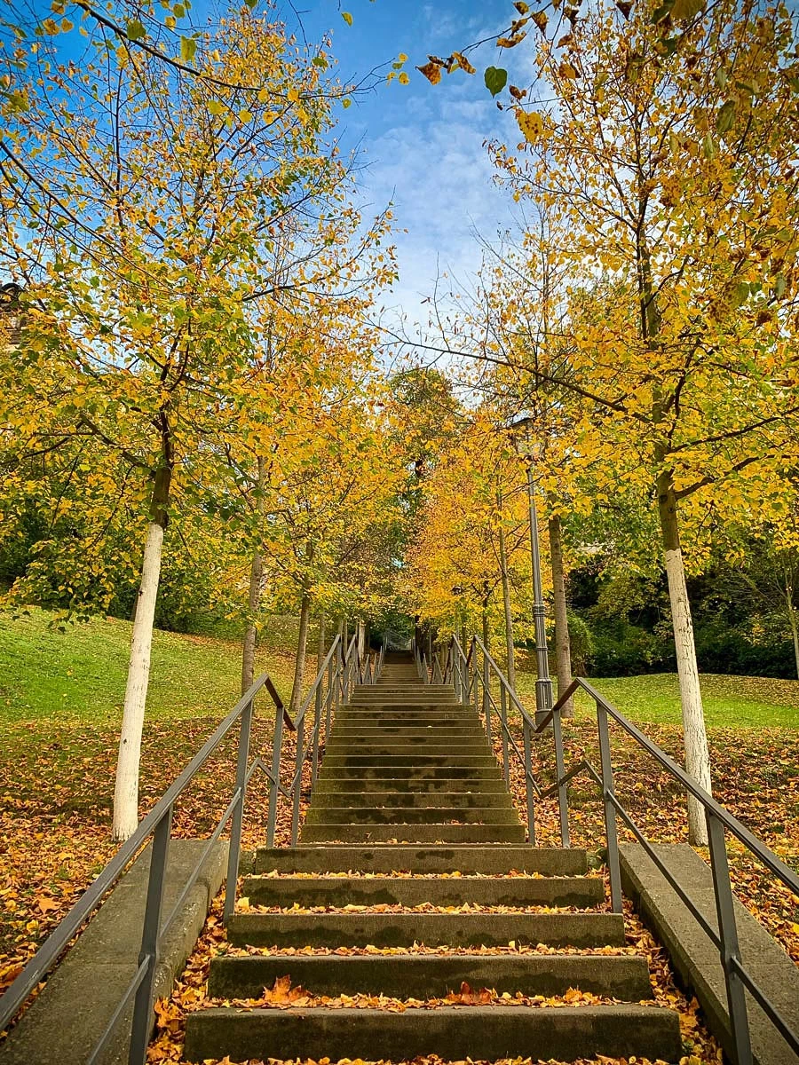 f873c-e7818-50583063337-429ae2b332-o