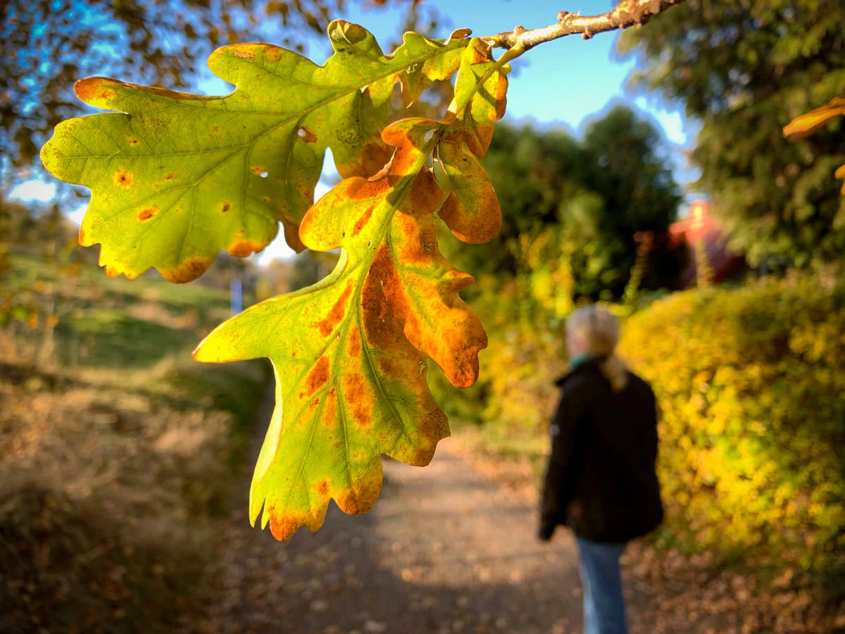 fa82e-98b29-50583063287-67c86d8a66-o