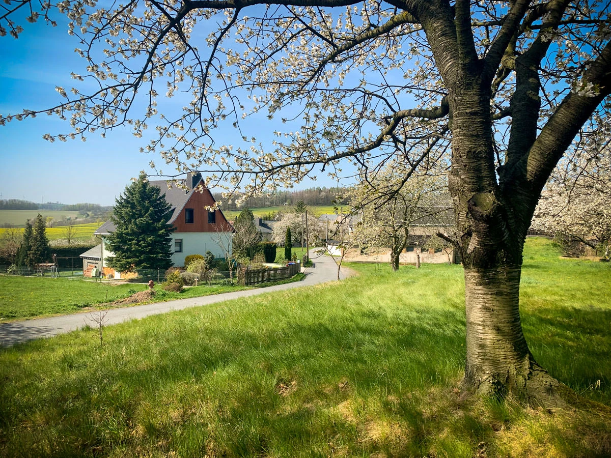 c8c61-598fa-49788138892-35686f4b9a-o