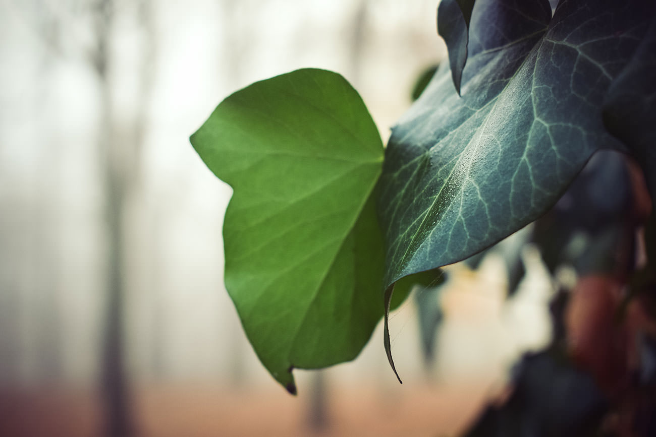 9b0e1-7ced7-52524411949-e935c32285-o