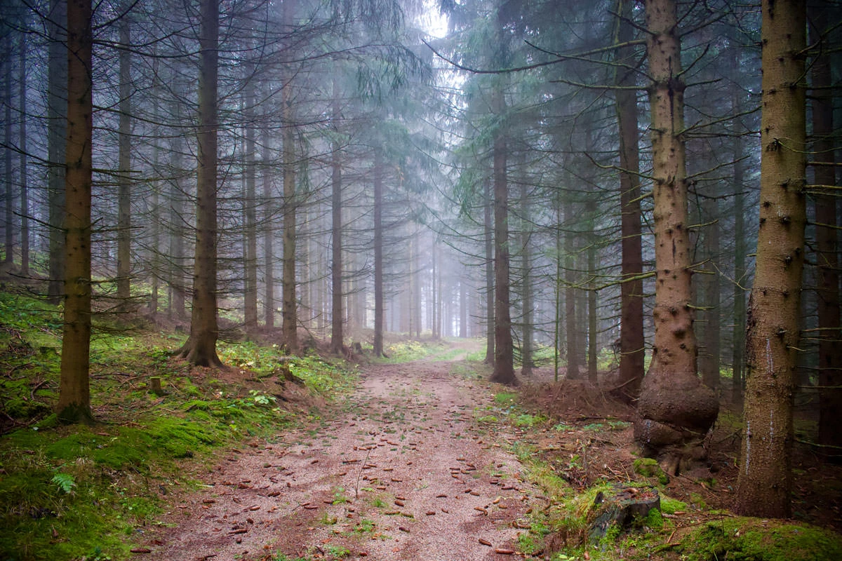 18662-812c7-49116391211-9721a86a5c-o