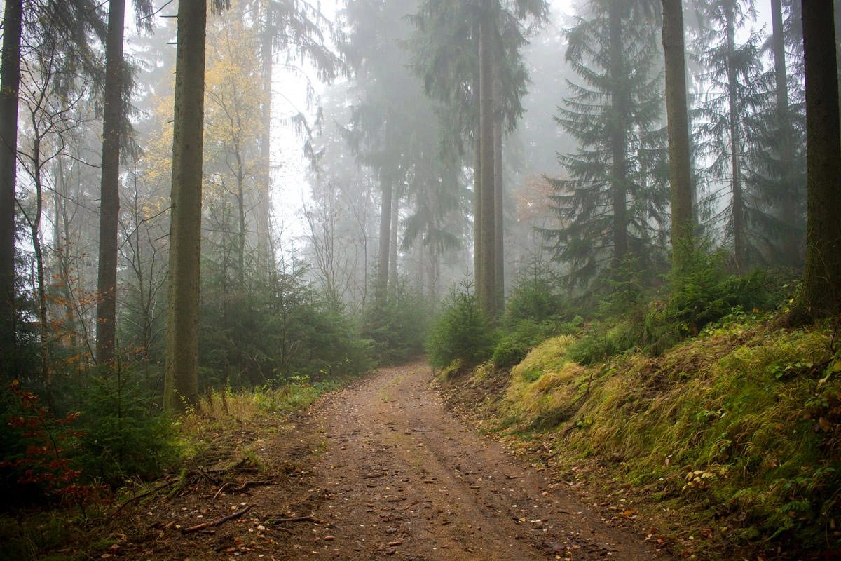 a8942-dbb85-49116580902-e9a07e42e5-o