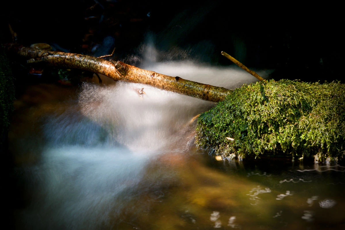 09f1f-e58d7-48624152638-b842892650-o