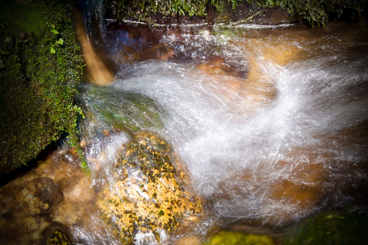 da5fe-364c4-48624503096-e753aa484b-o