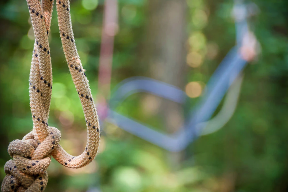 f3b42-96588-48624503296-fec836c800-o