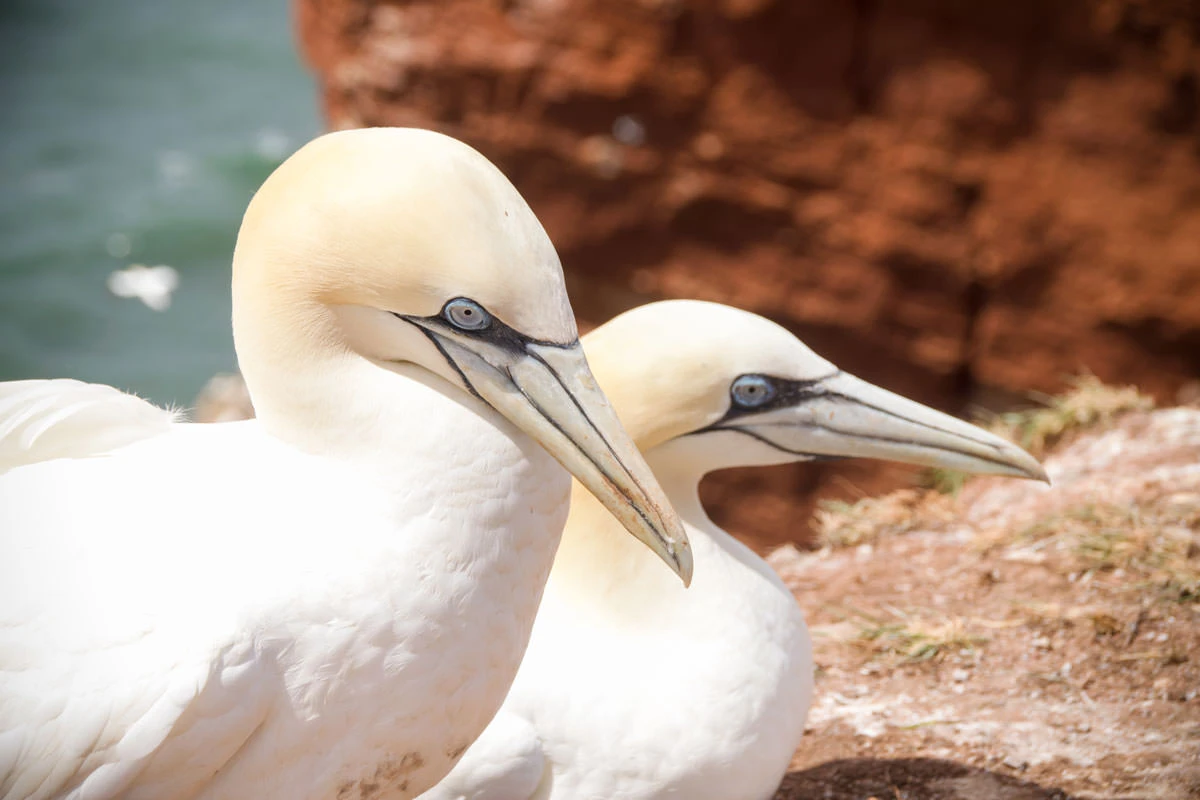 20eab-aa0ac-50094151411-e6583af5fc-o