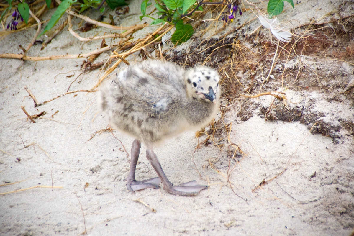 4e0d1-7a897-50093568968-9f32dc59d6-o