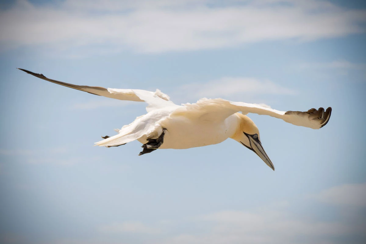 783c1-fb923-50093568738-66e2661245-o