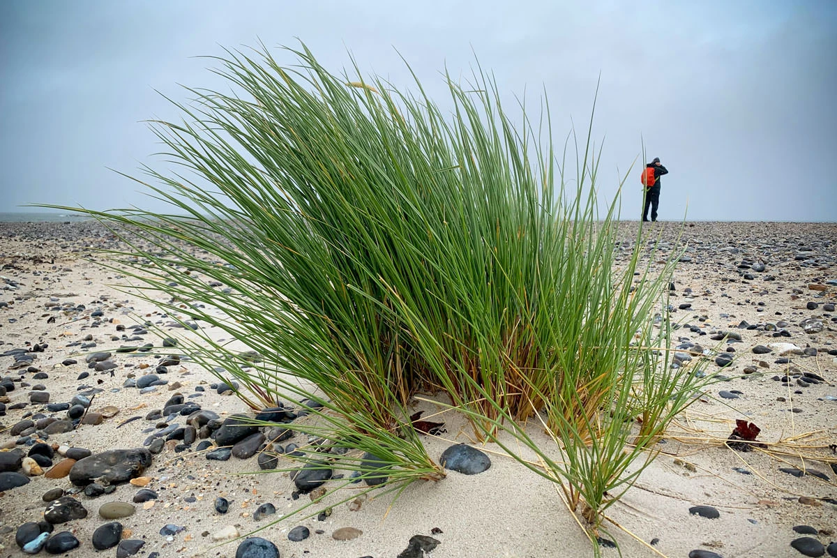 9dd9a-f5a0f-50094151261-b5b1ed3d67-o