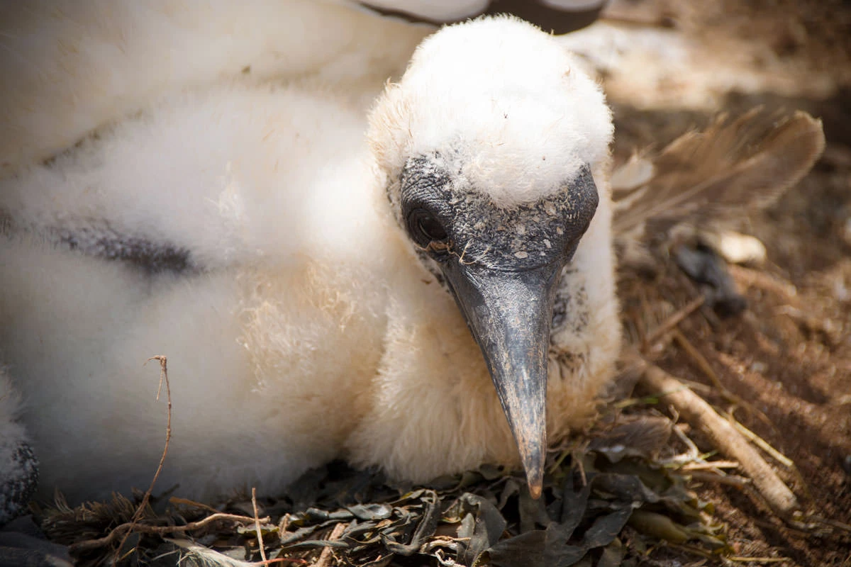 af658-b3a9a-50094384542-83f33416ff-o