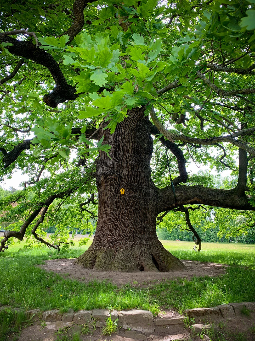 c76f5-0d8e5-51220322186-f05db154c8-o