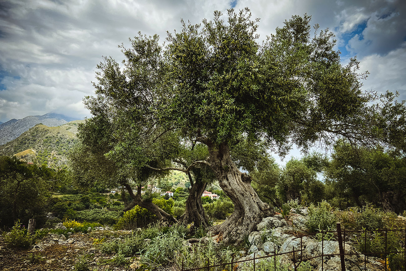 1580a-410e6-52087145140-09c7277f0a-o