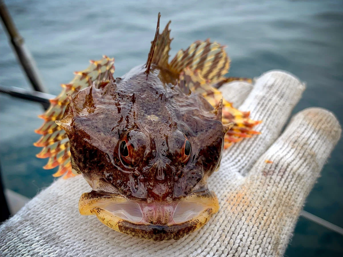 8333c-e32ef-33886117688-04db94b087-o