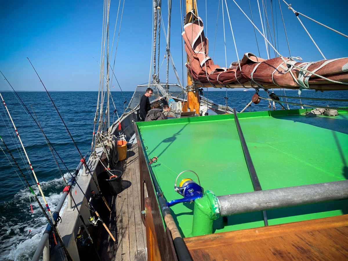 b9898-566d2-33886117818-7c3c4e5943-o