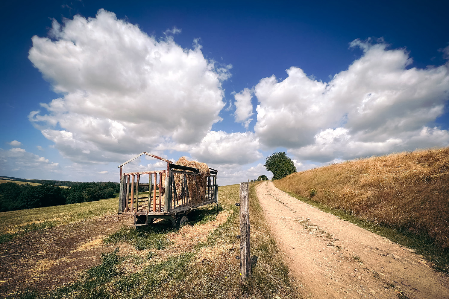 eb470-6b787-53066024928-d04a643a23-o