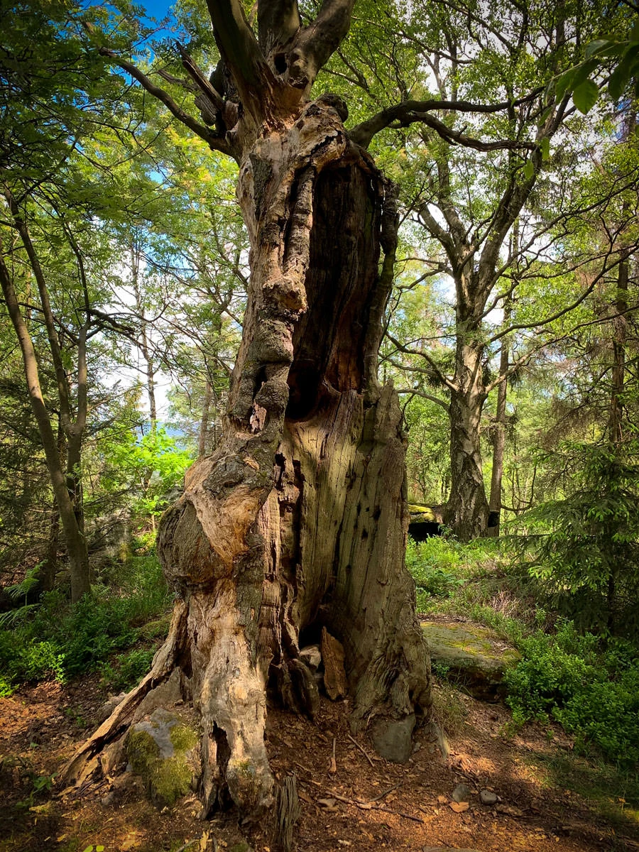 698f3-c3a94-49943671013-d9be104984-o