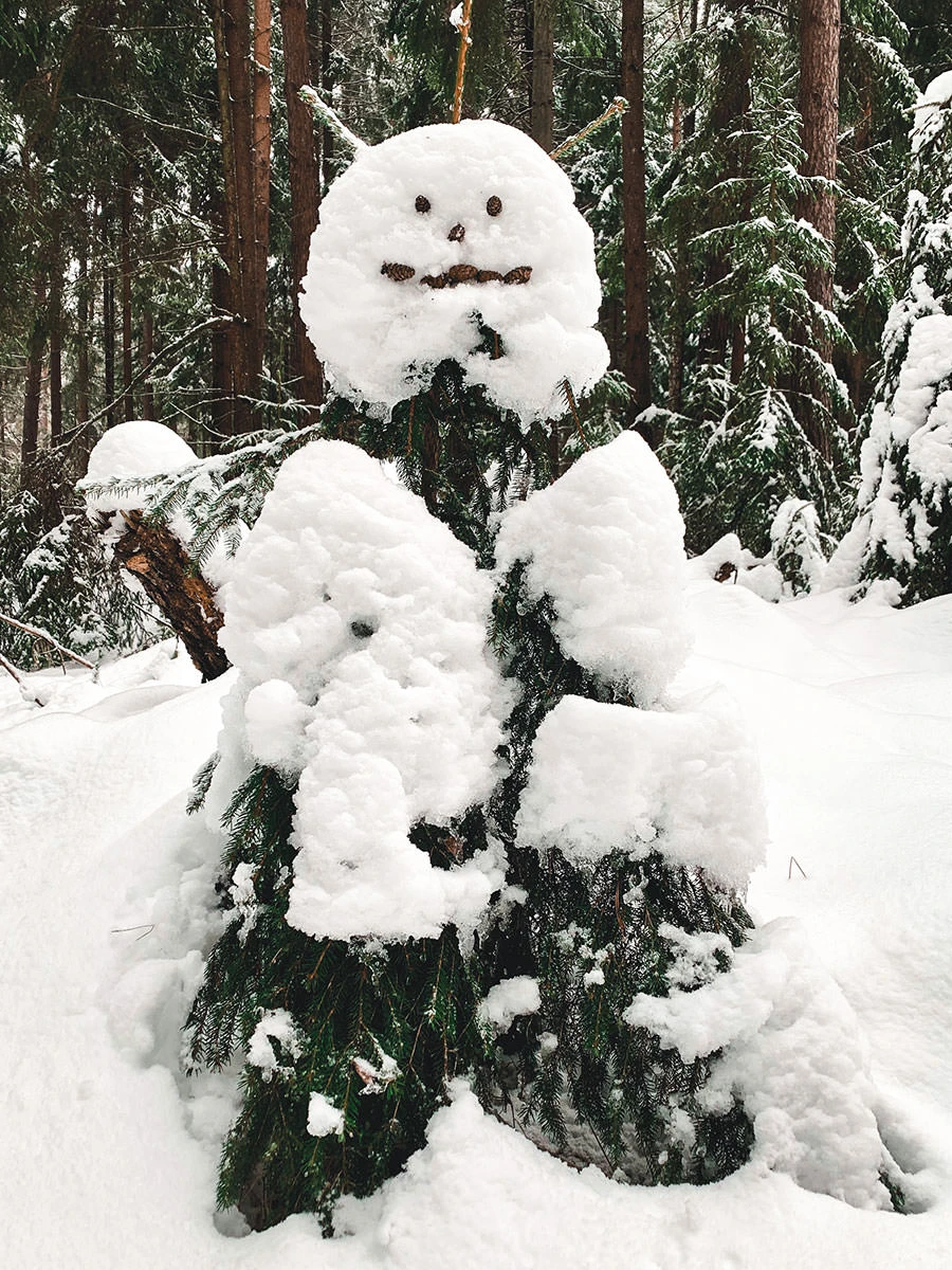 5c137-a3b68-50894672116-35704f5341-o