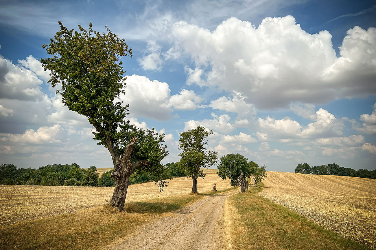 2bfd5-f668f-52286609332-f92606b7ac-o