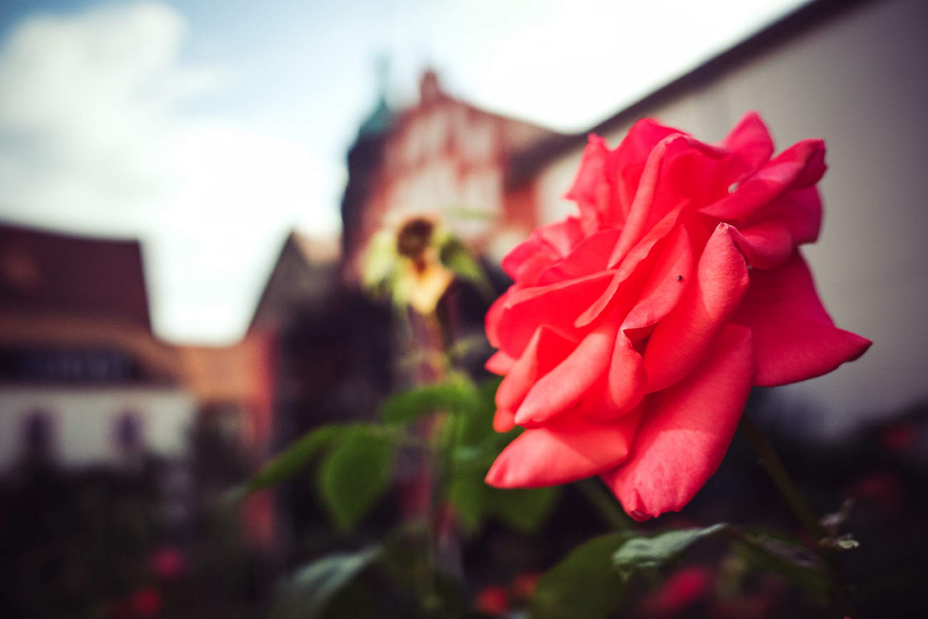 fddcd-e5bf9-53024379428-c64b736704-o