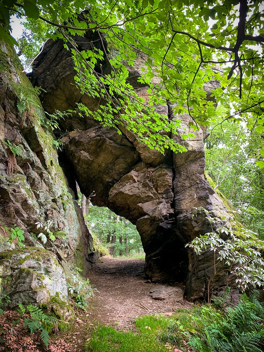 b9a61-49138-51342529566-3dc52e4e39-o