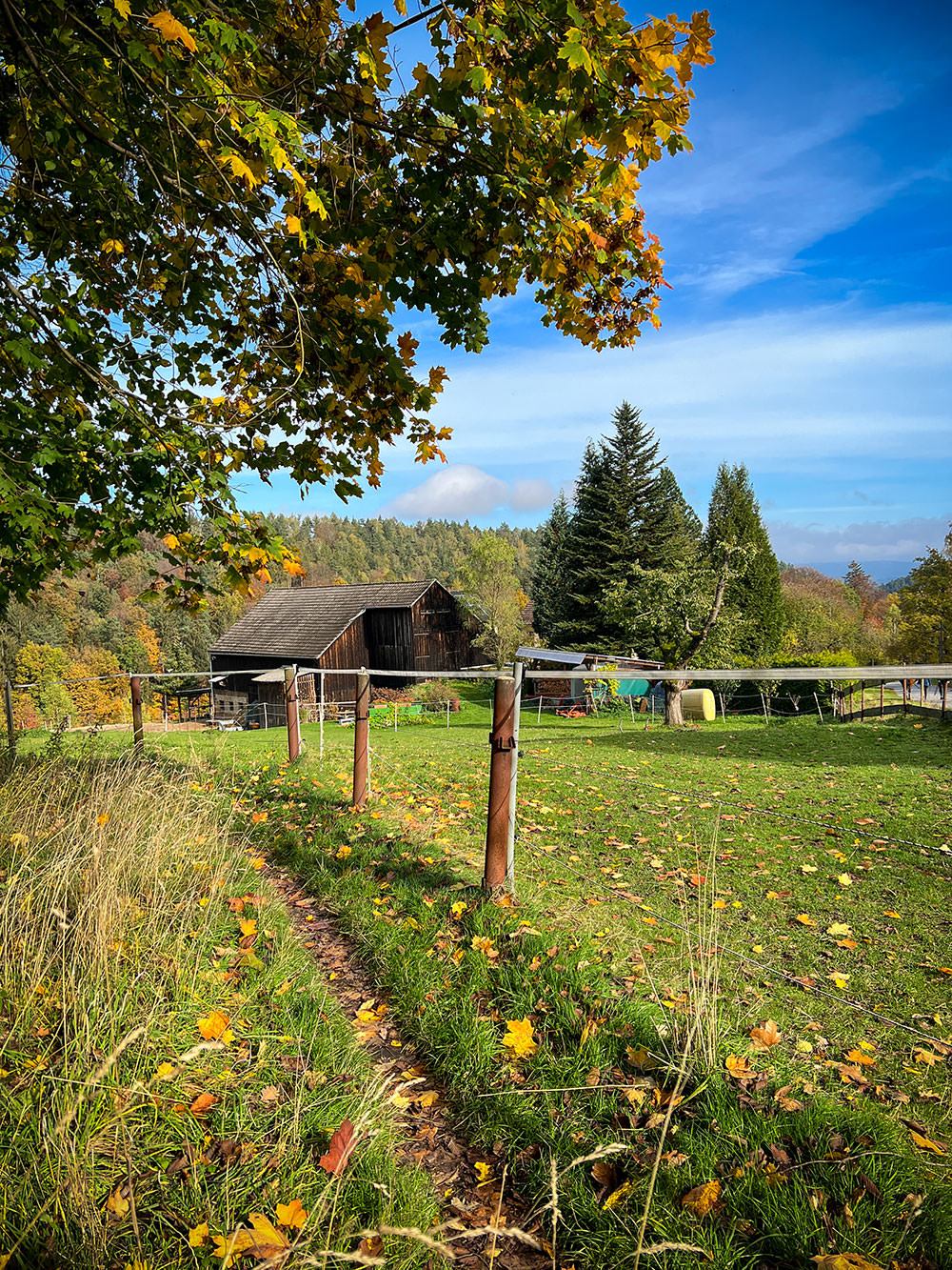 16c79-794c1-52450322375-123edd9296-o