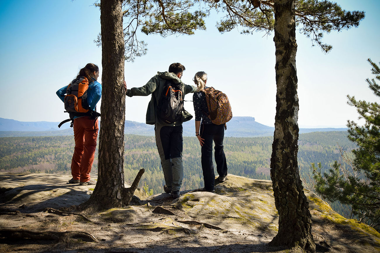 d4abe-b040f-schneebergblick