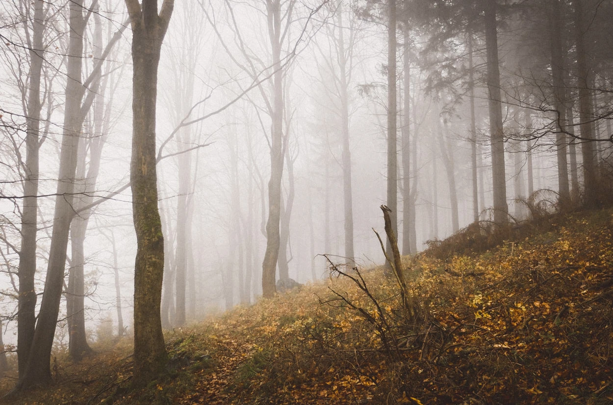 6b663-59634-38062538892-5677e28a03-o