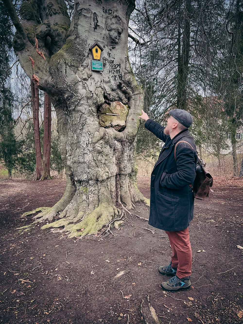 228d8-aae7b-51796726765-f68f3b65a2-o