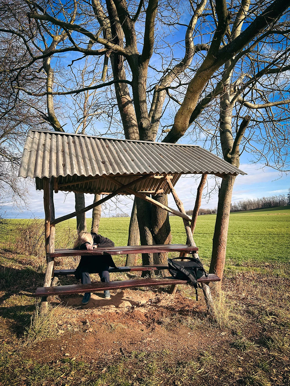 cb834-58686-51796114048-980c6c0a5d-o