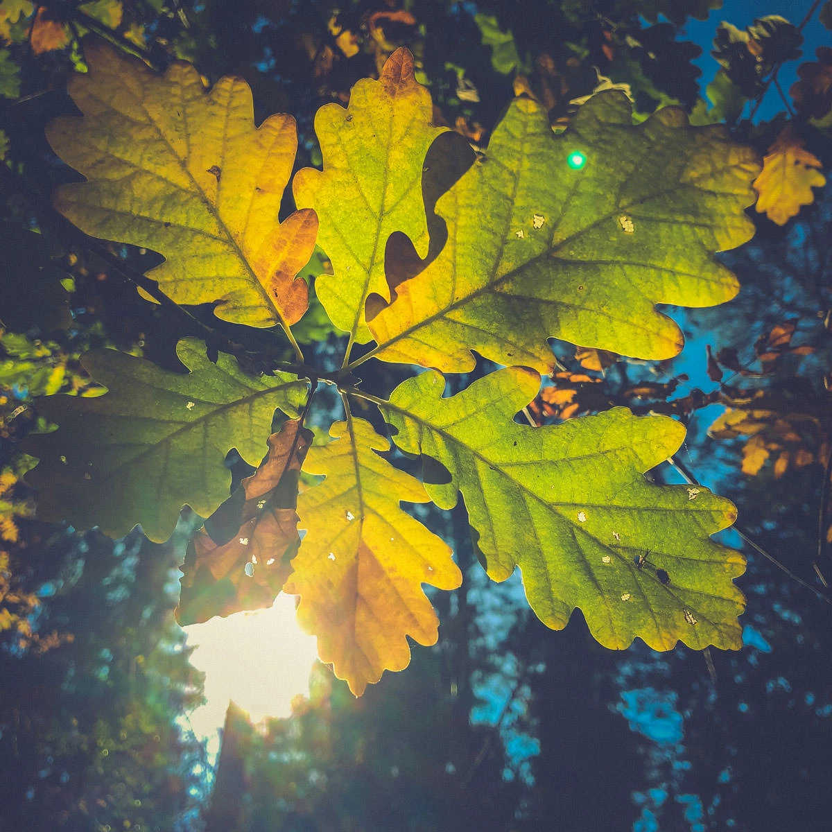 a8883-a7eb1-45266083332-446b18009b-o