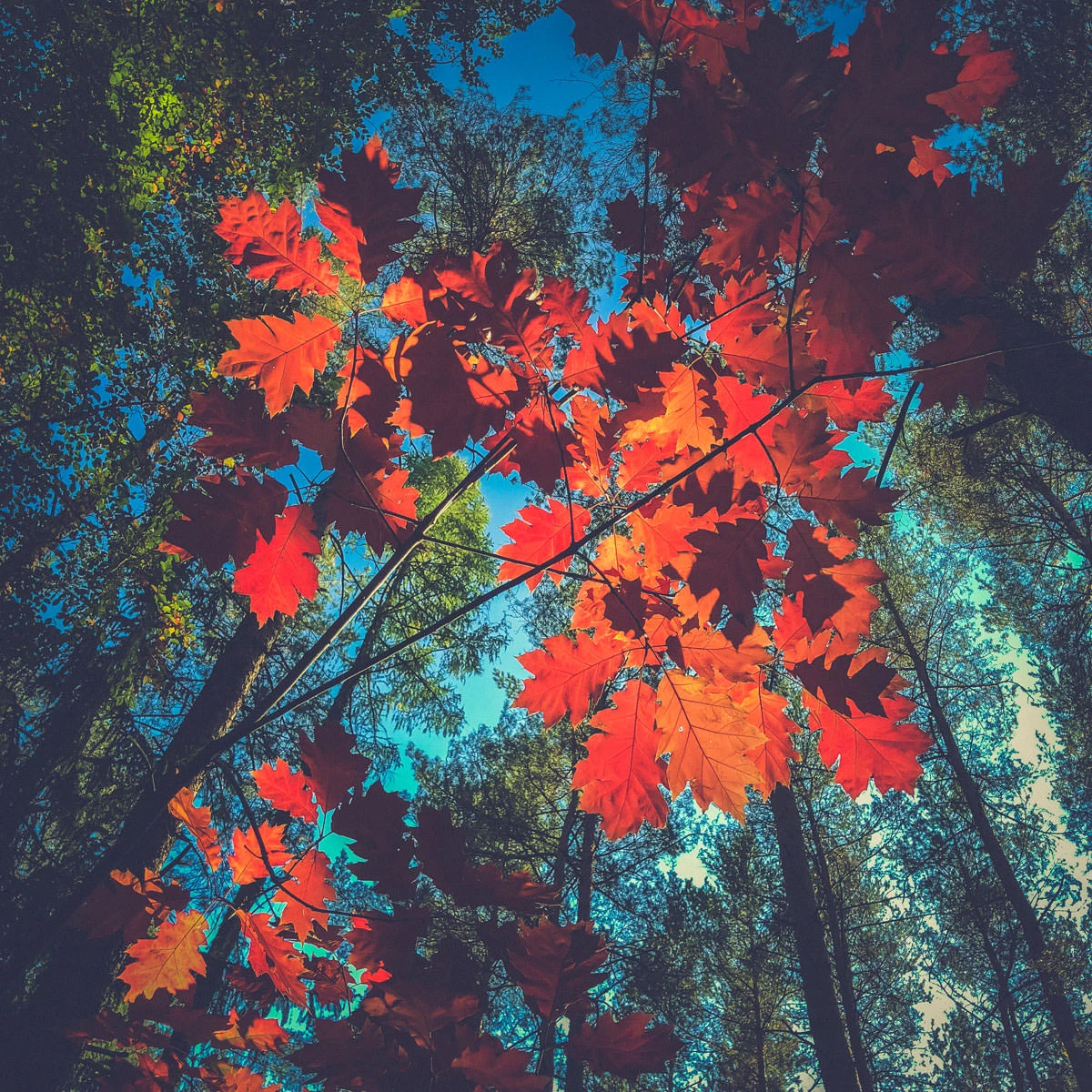 ea34a-4b40b-44402451045-b7e191274f-o