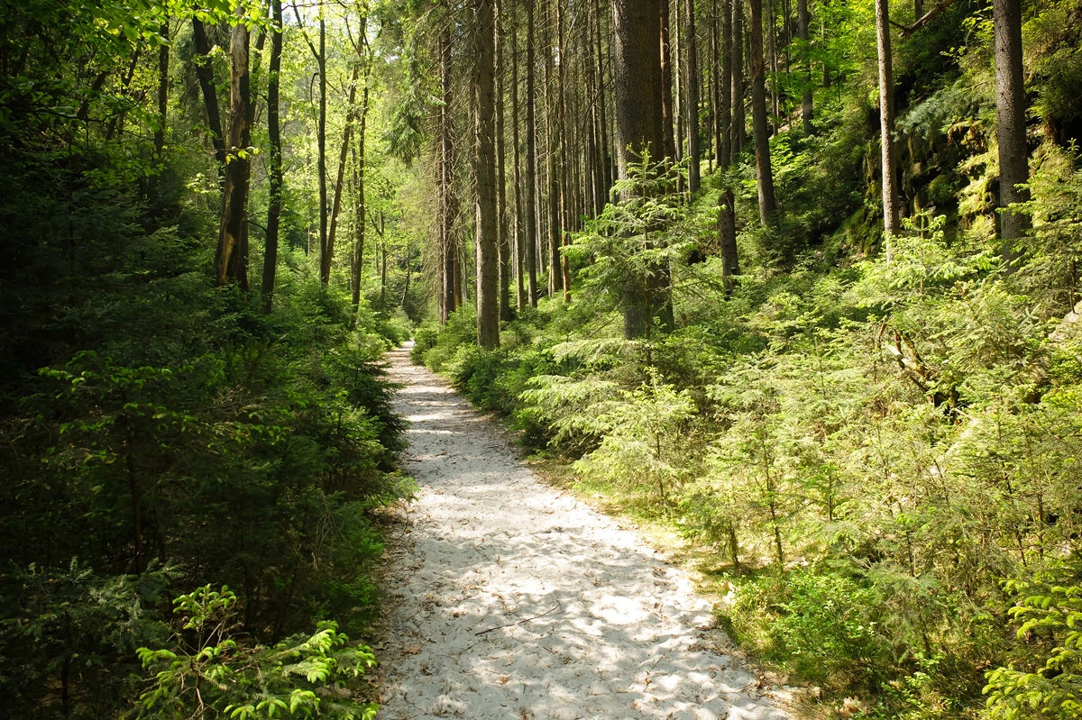 680d9-03b7f-34034839743-8990bf1ff7-o