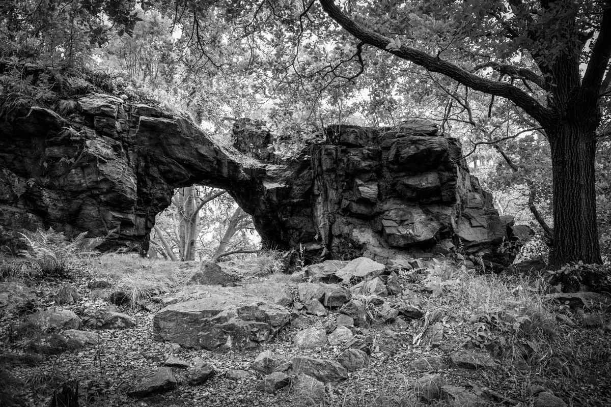 00e43-6ecdc-42352893524-0c37d0c7e8-o