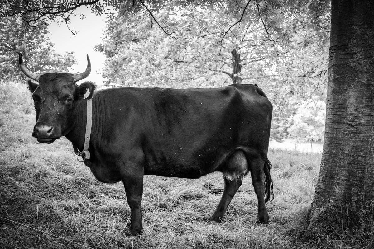 eb75c-bd22f-28203004457-c291e3c42c-o