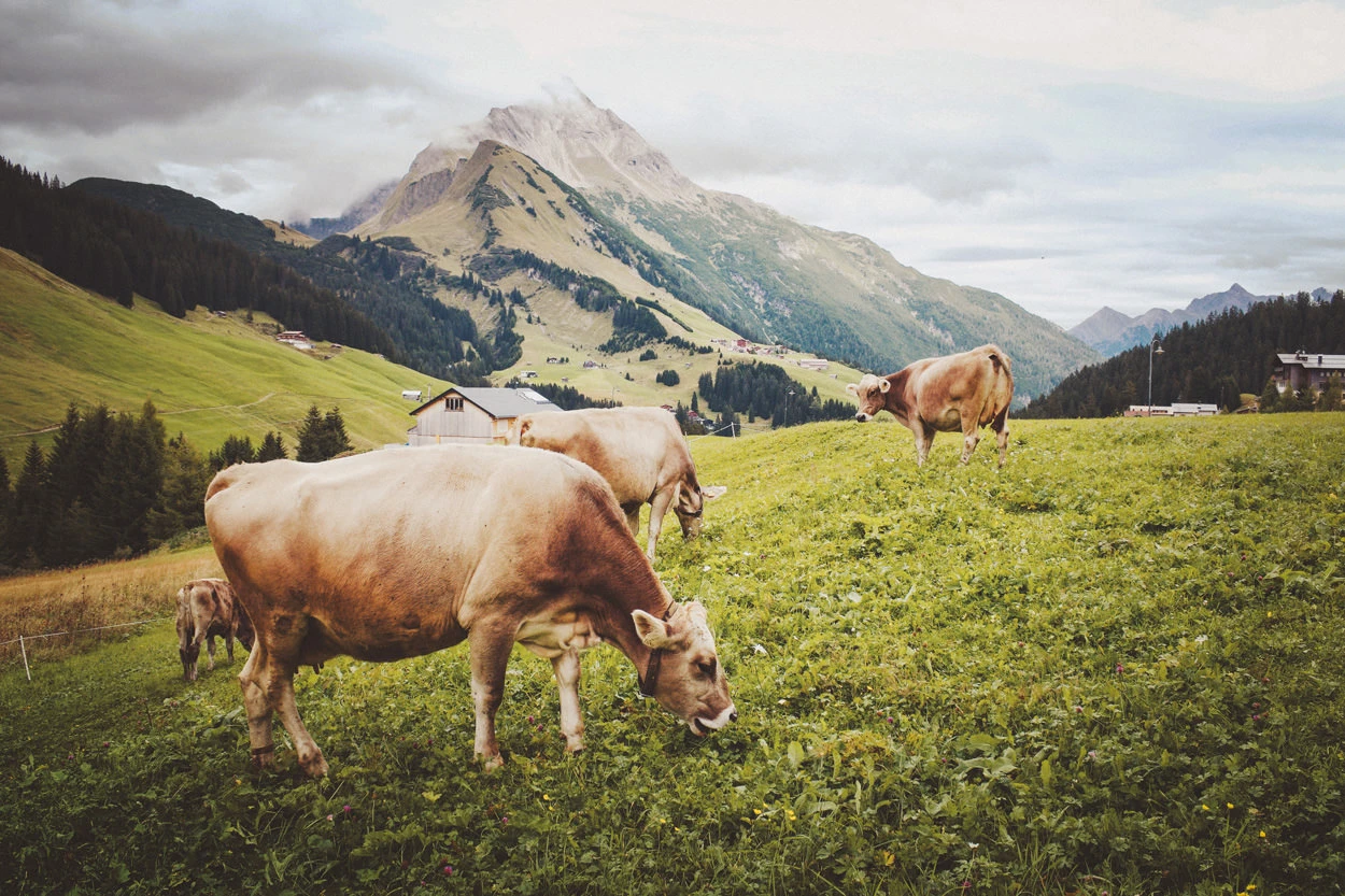 5abfd-85a7c-36964971220-9dbf07d797-o