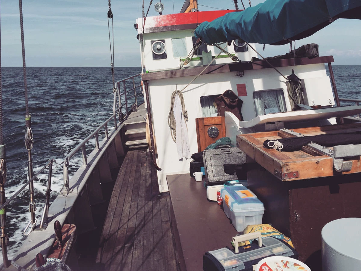 cfd35-e58ec-33765951944-cc212c4c3e-o