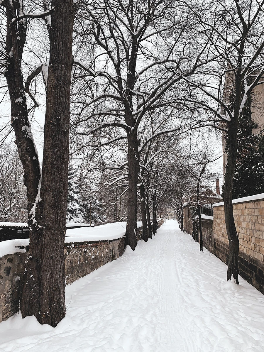 193ea-e1a8a-50928218958-93a9253fbd-o