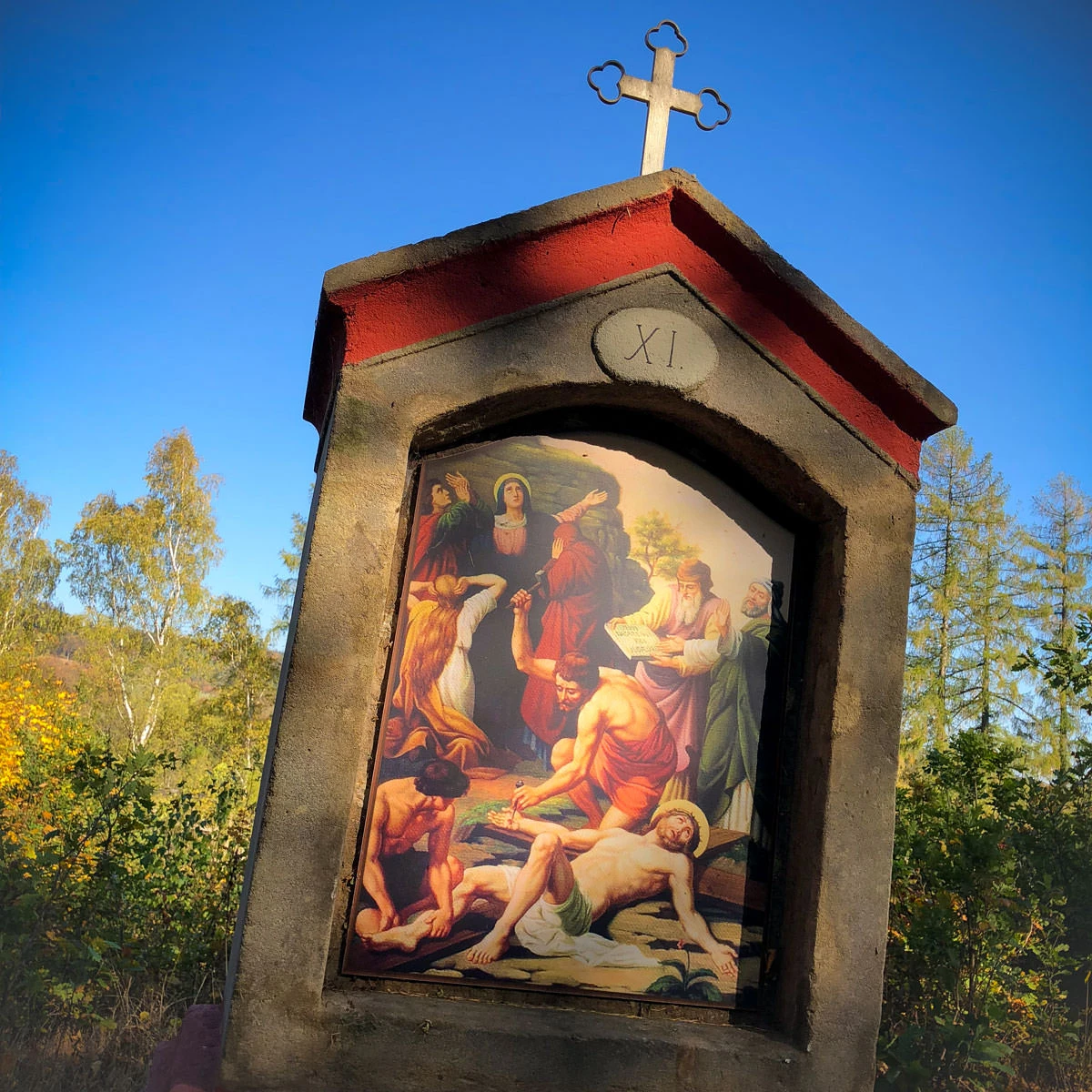 af4ef-b5671-45339732901-3543e4c2d1-o