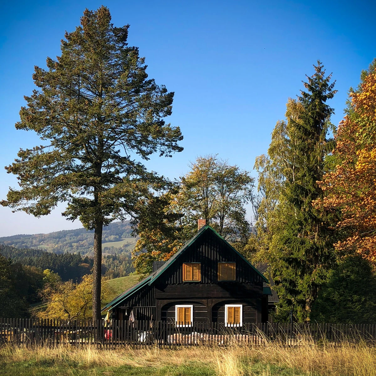 d4eca-cc4c7-44426675525-5d0cf9c6d5-o