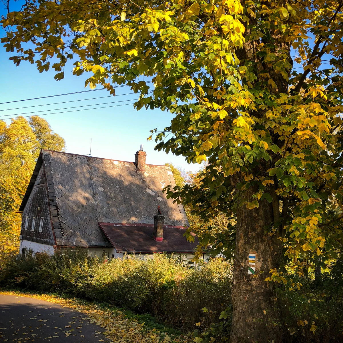 e9384-09fd4-30400000457-11e610a33f-o